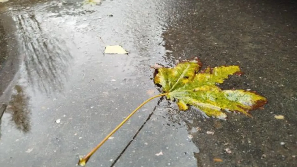 Фото: REGIONS/Наталья Дорофеева