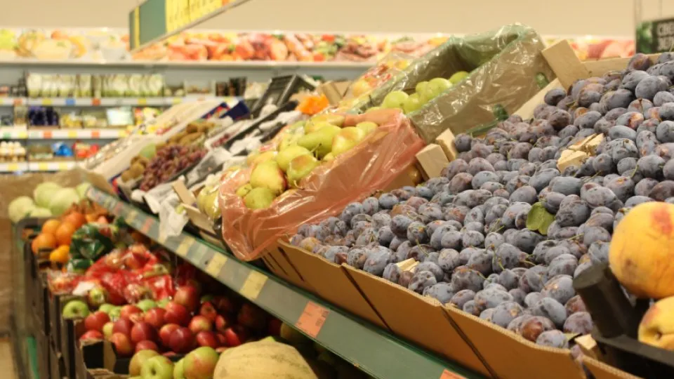 Фото: REGIONS/Анастасия Широкая