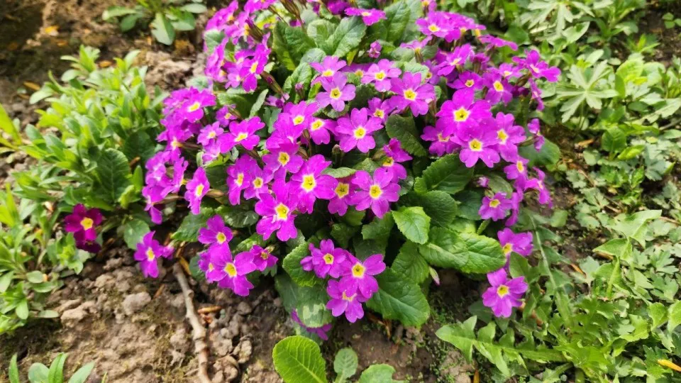 Фото: Евгения Герасимова