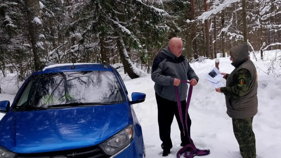 Фото: пресс-служба Комитета лесного хозяйства Московской области