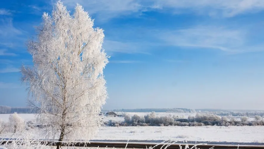 Фото: freepik.com