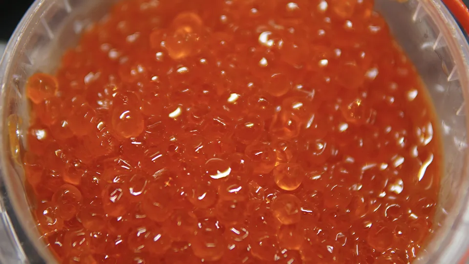 Фото: istockphoto.com/Alexandr Kolosov