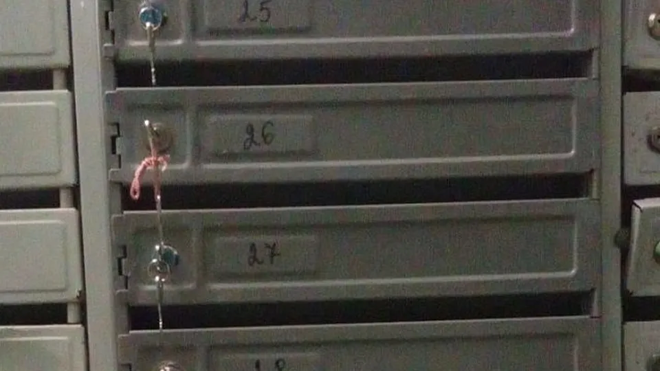 Фото: пресс-служба администрации г.о. Воскресенск