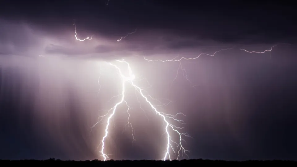 Фото: pxhere.com