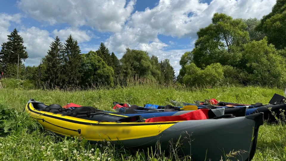 Фото: t.me/dvmordvintsev