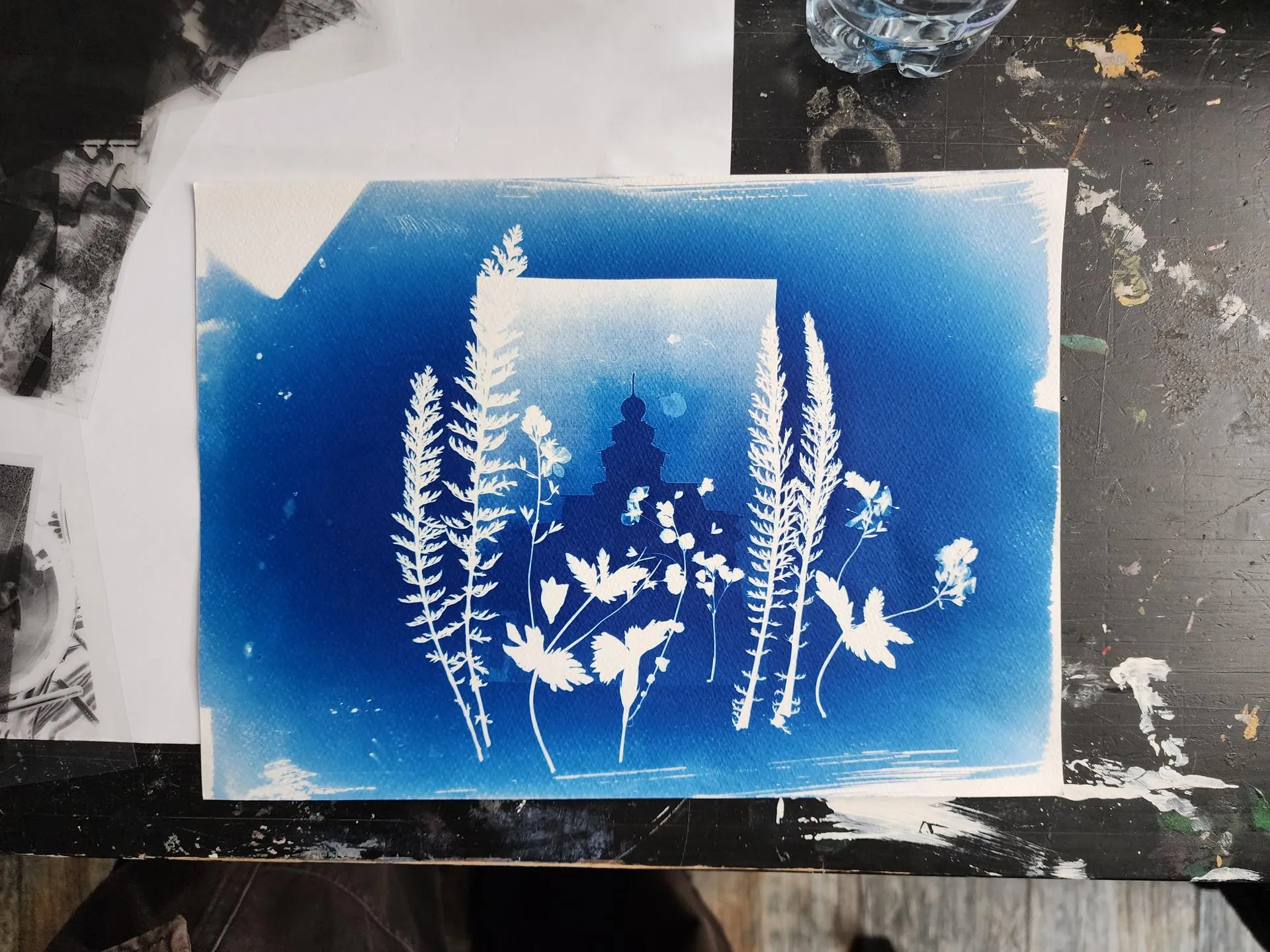 Проявленная фотография с занятия по цианотипии. Фото: Иван Петрушин