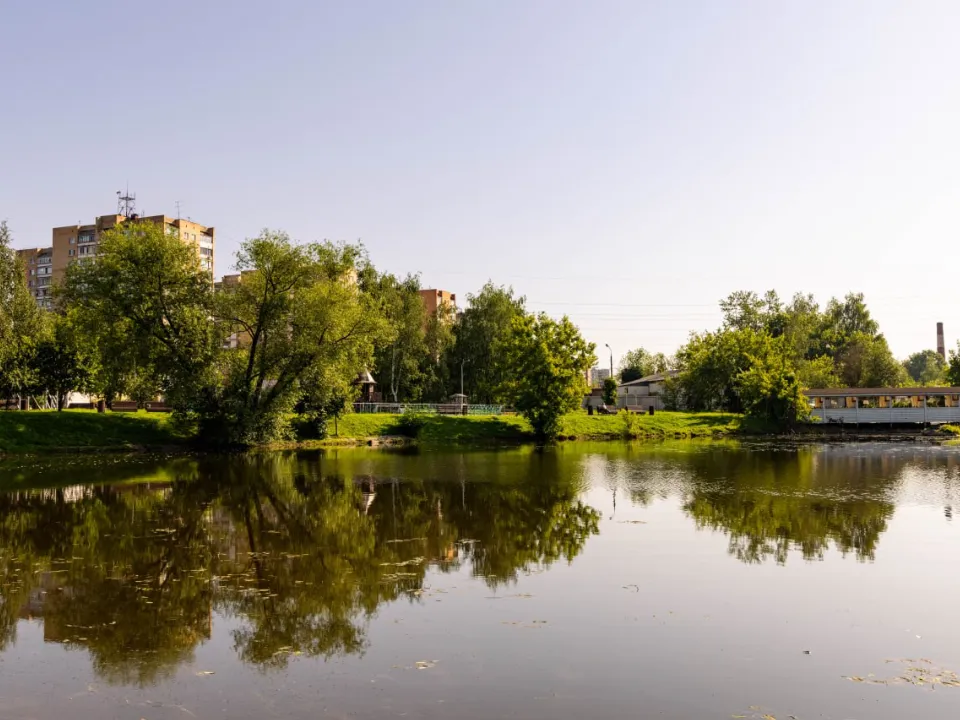 Фото: пресс-служба администрации г.о. Лобня