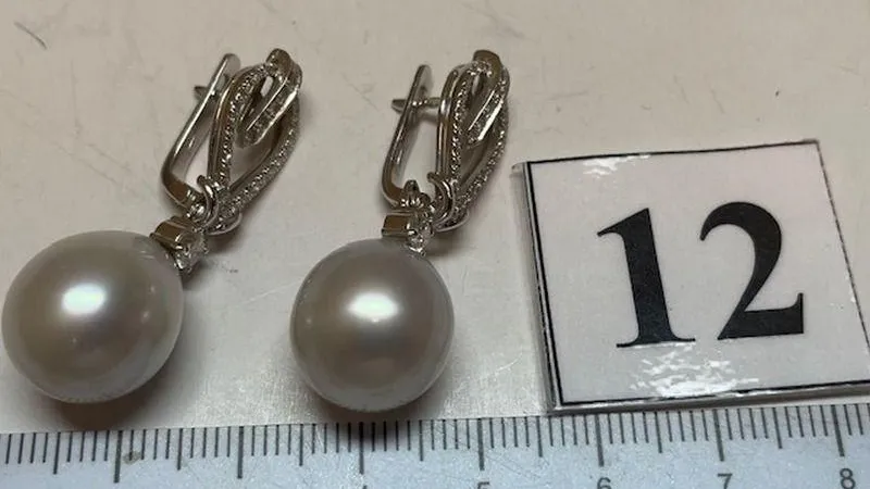 Пресс-служба Шереметьевской таможни