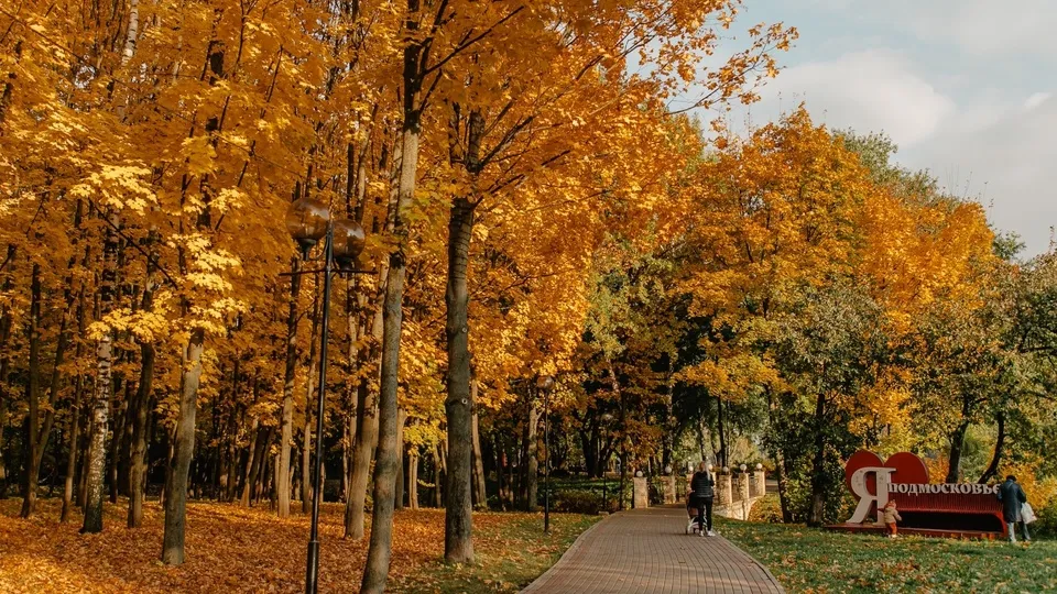 Фото: пресс-служба Администрации г.о. Химки