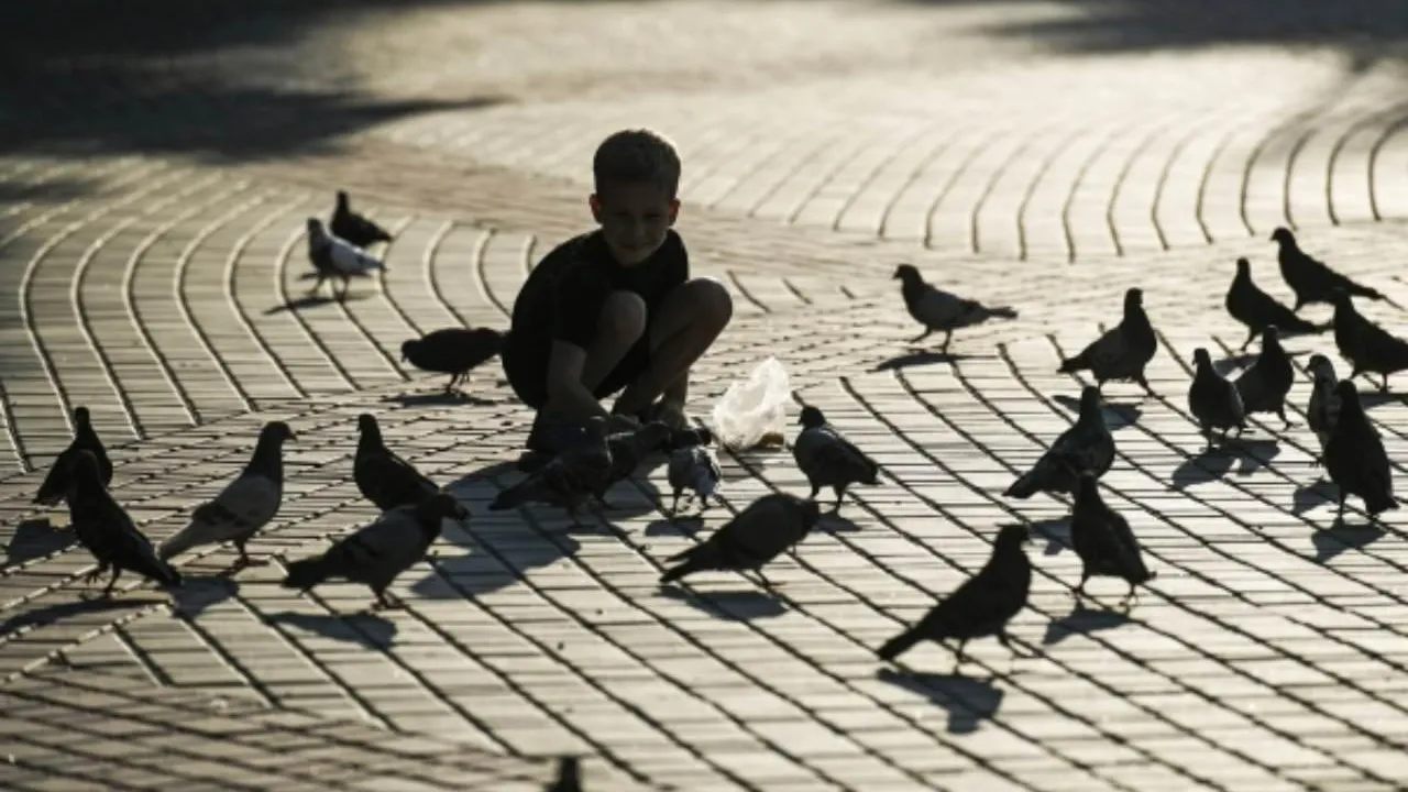 Суд в Сингапуре оштрафовал мужчину за неоднократное кормление голубей