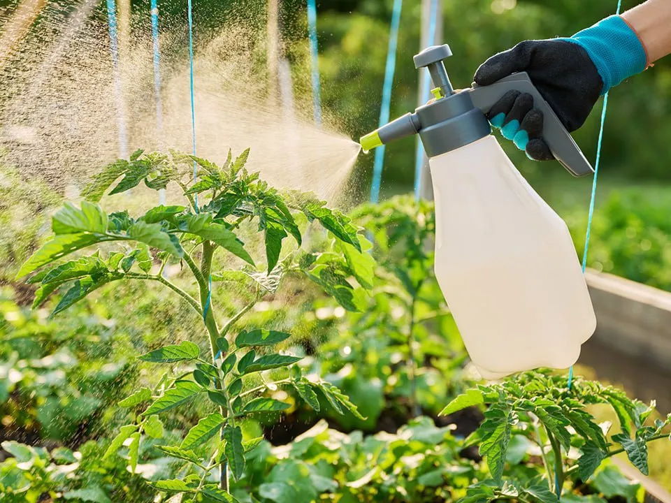 Фото: istockphoto.com