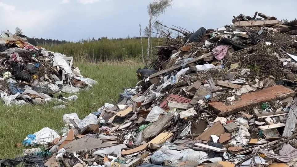 Фото: МедиаБанк Подмосковья/Ерофеева Валерия