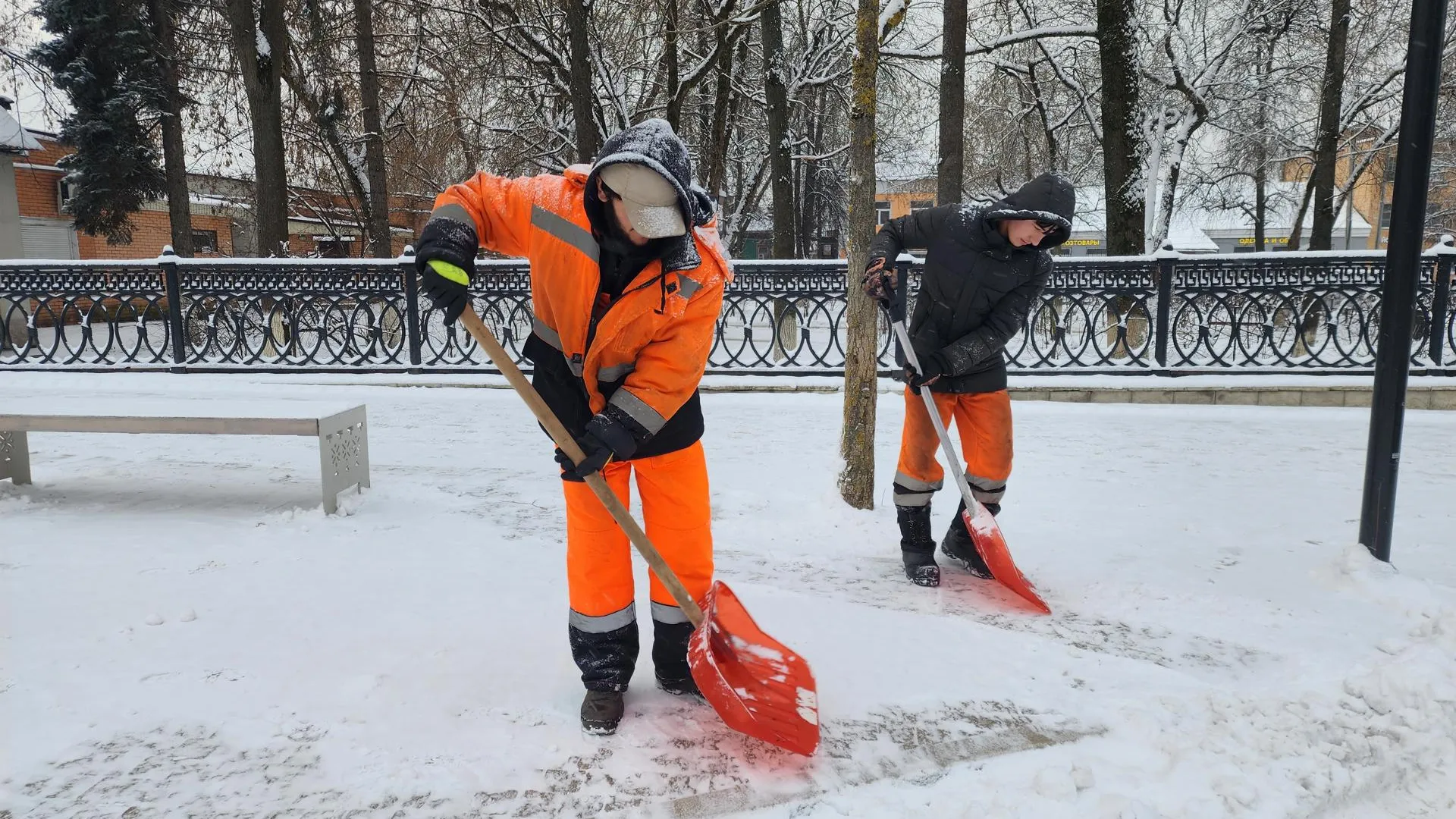 Рабочие убирают снег. Хавива Фонина