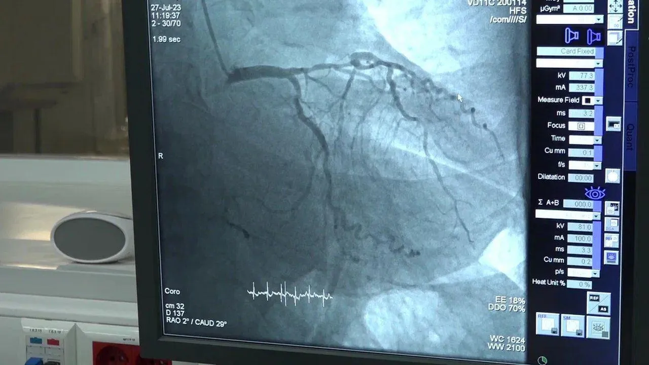 REGIONS/Наталья Надточая