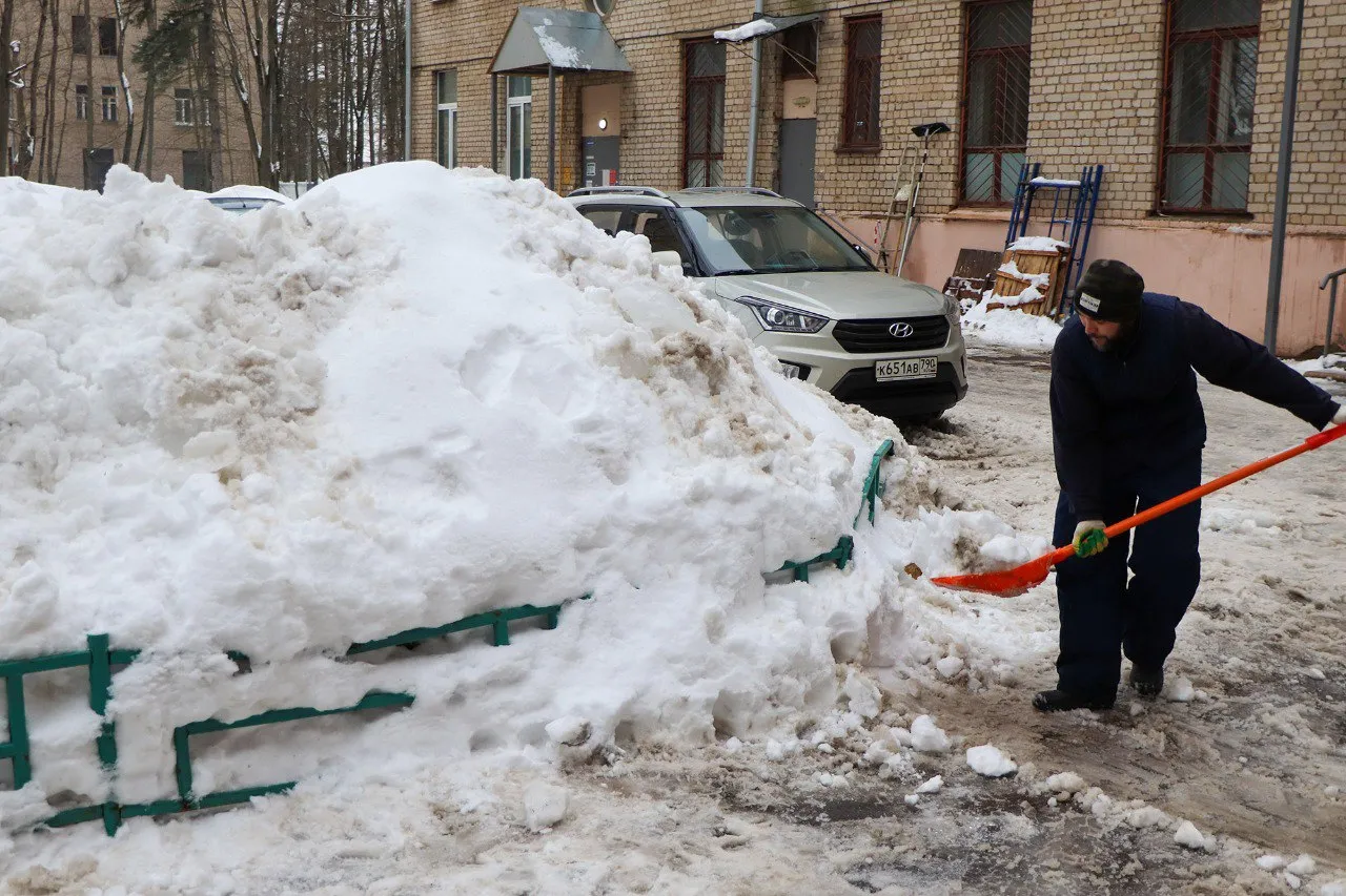 Фото: пресс-служба администрации г.о. Мытищи
