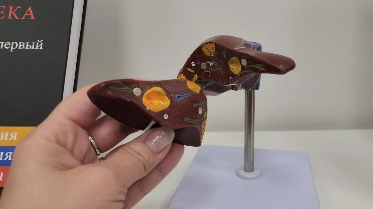 МедиаБанк Подмосковья/Анна Шолохова