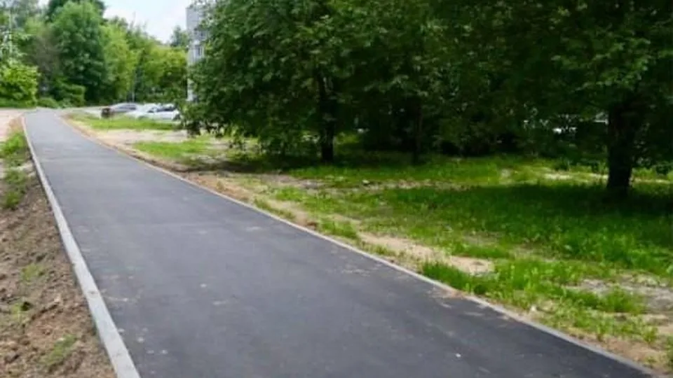 Фото: пресс-служба администрации городского округа Истра