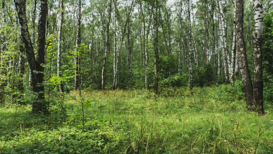 Фото: REGIONS/Наталия Надточая