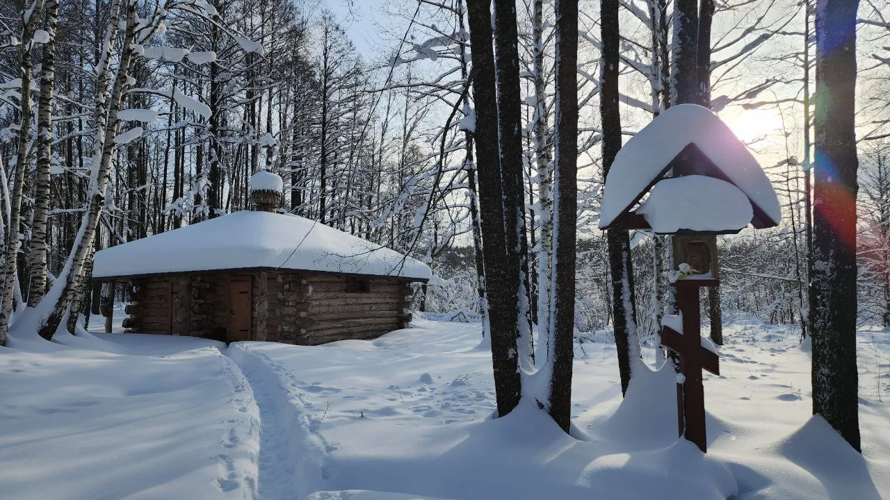 Фото: МедиаБанк Подмосковья / Юлия Андросова