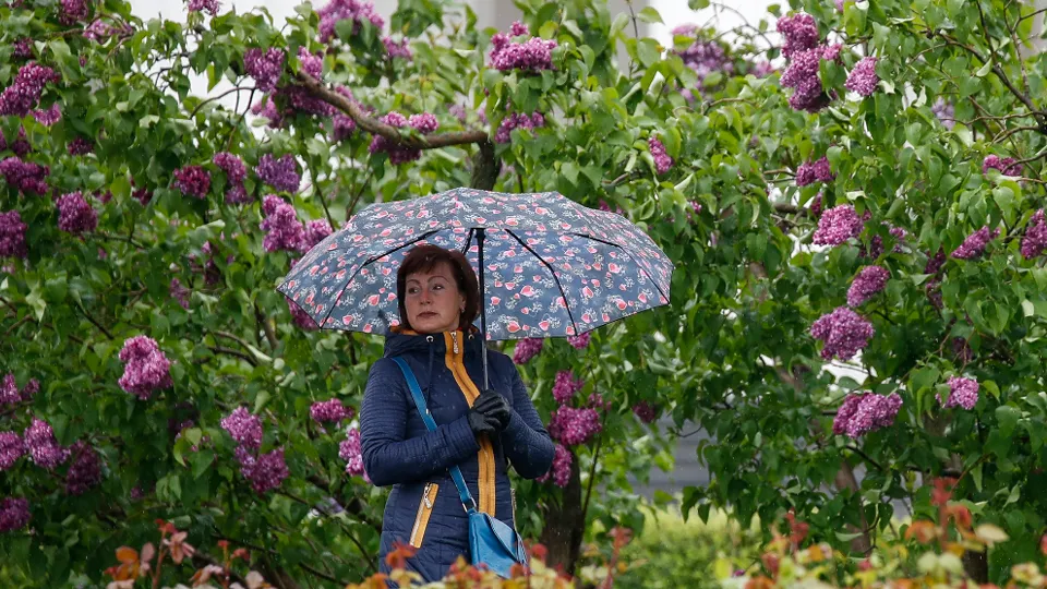 Фото: ТАСС/Артем Геодакян