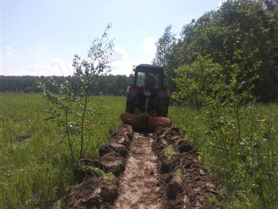 Фото: Комитет лесного хозяйства Московской области