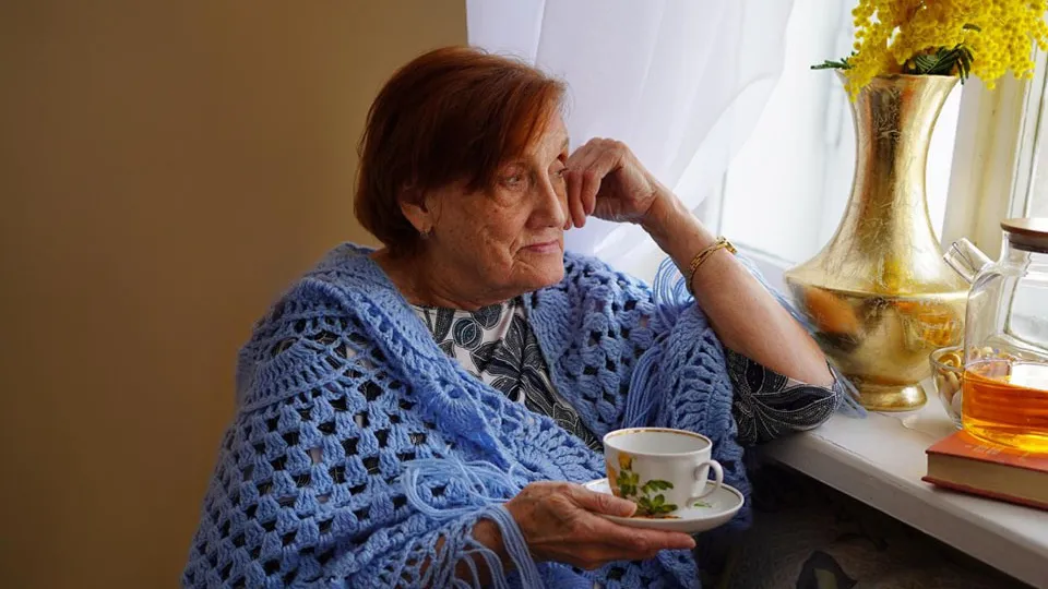 Фото: Минсоцразвития МО