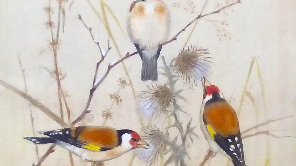 Фото: Ступинский историко-краеведческий музей