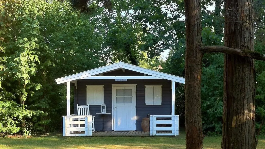 Фото: pxhere.com