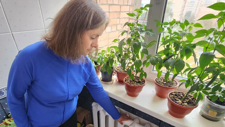 Фото: МедиаБанк Подмосковья/Дмитрий Алексеенко