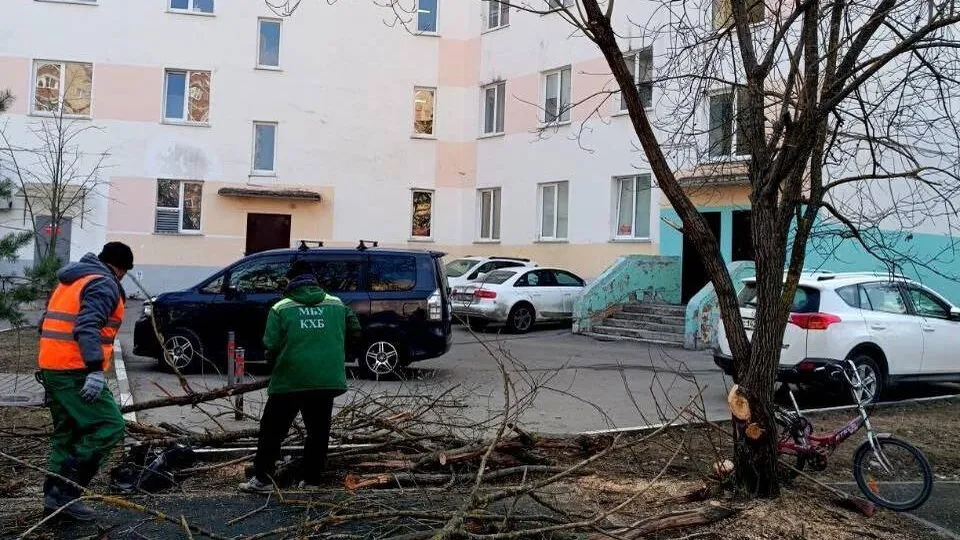 Фото: МБУ «Коммунальное хозяйство и благоустройство»