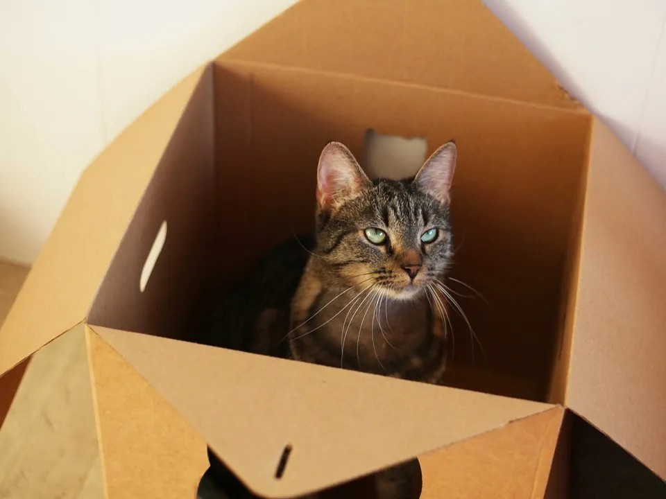 Фото: Илья Давыдов