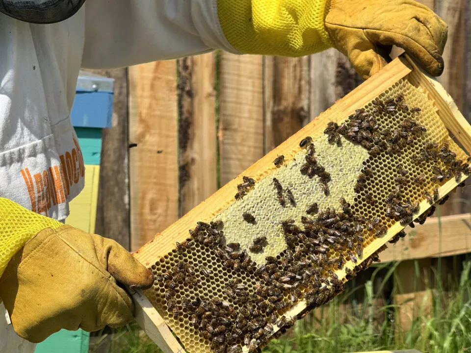 Фото: МедиаБанк Подмосковья/Татьяна Рунова