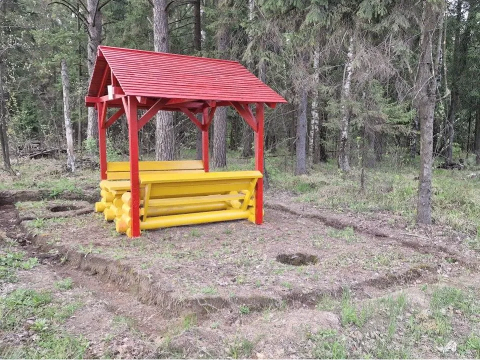 Фото: Комитет лесного хозяйства МО