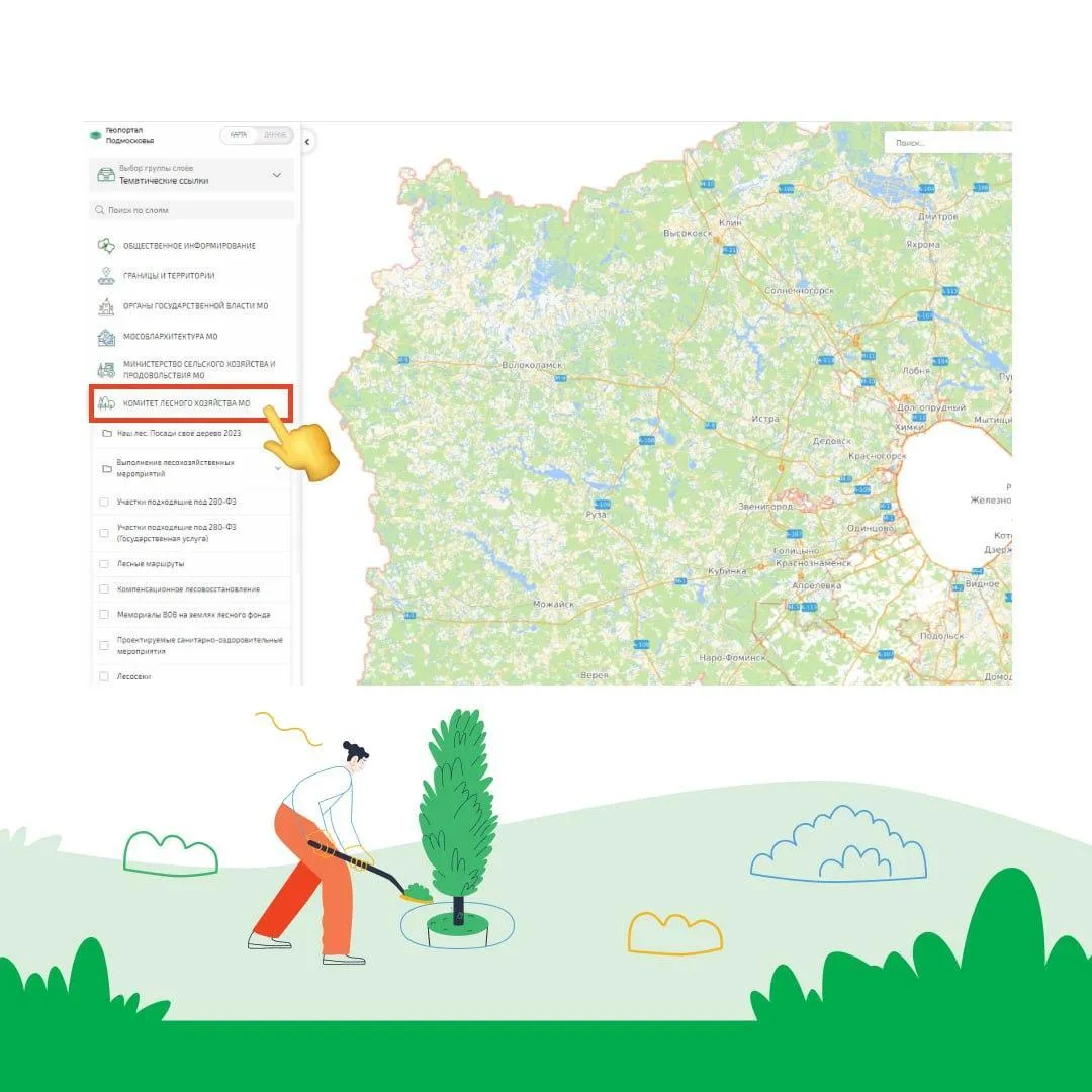 Комитет лесного хозяйства МО