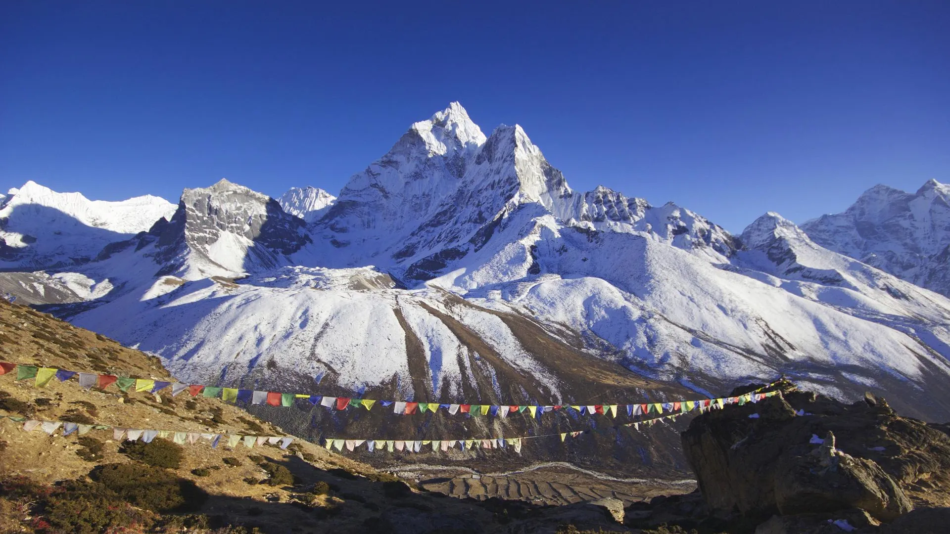 F. Neukirchen/blickwinkel