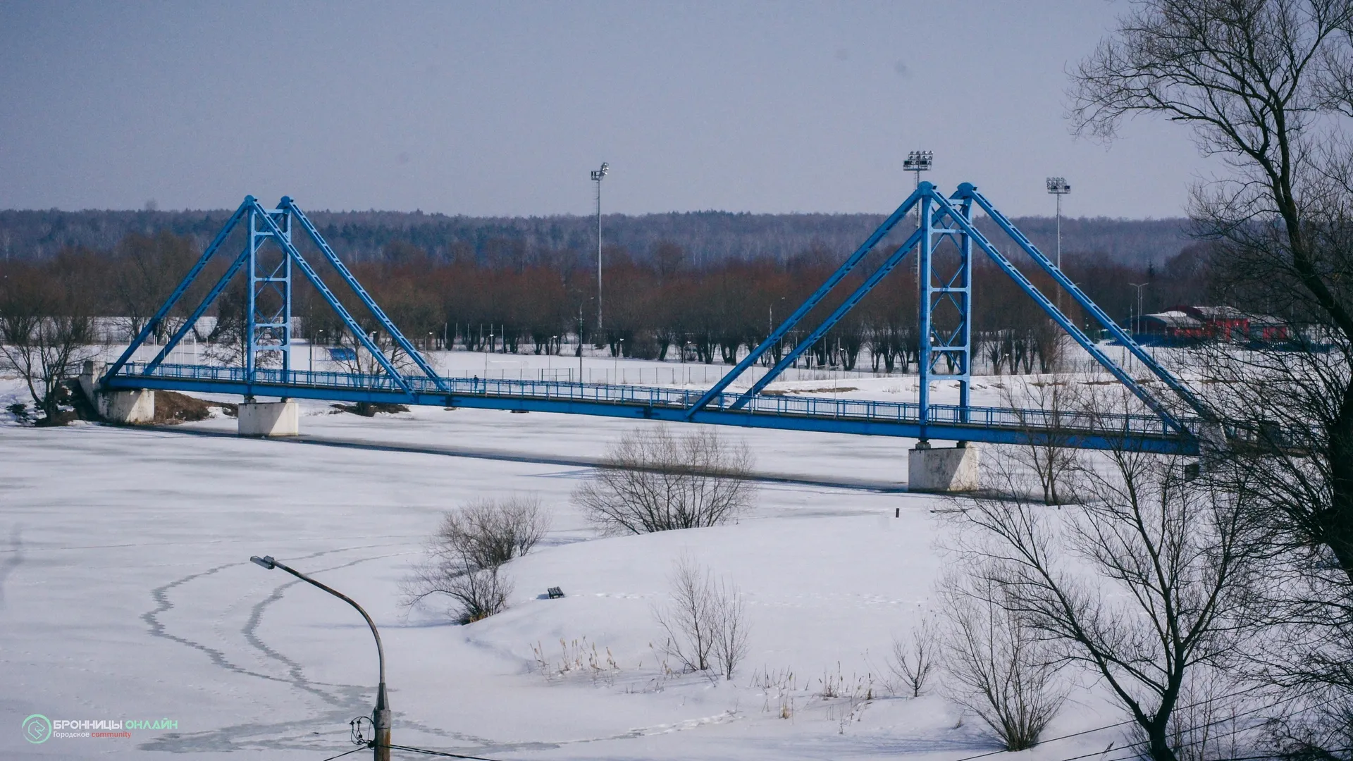 Фото: Бронницы-онлайн