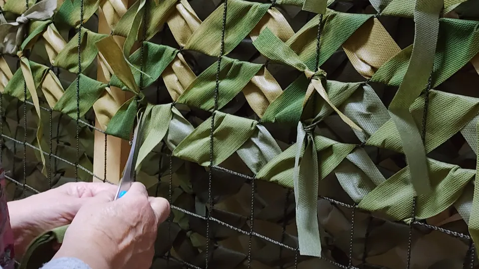 Фото: МедиаБанк Подмосковья/Ксения Пашуто