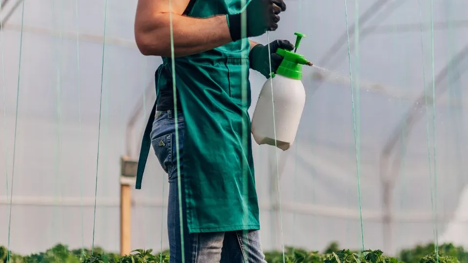 Фото: istockphoto.com/South_agency