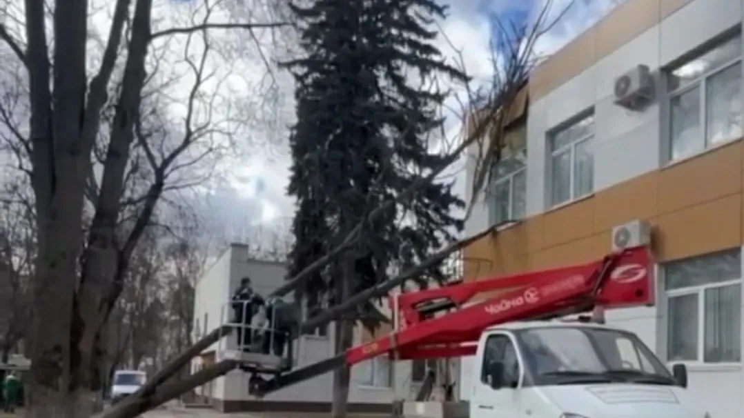 Стоп-кадр видео из Telegram-канала администрации Ленинского городского округа