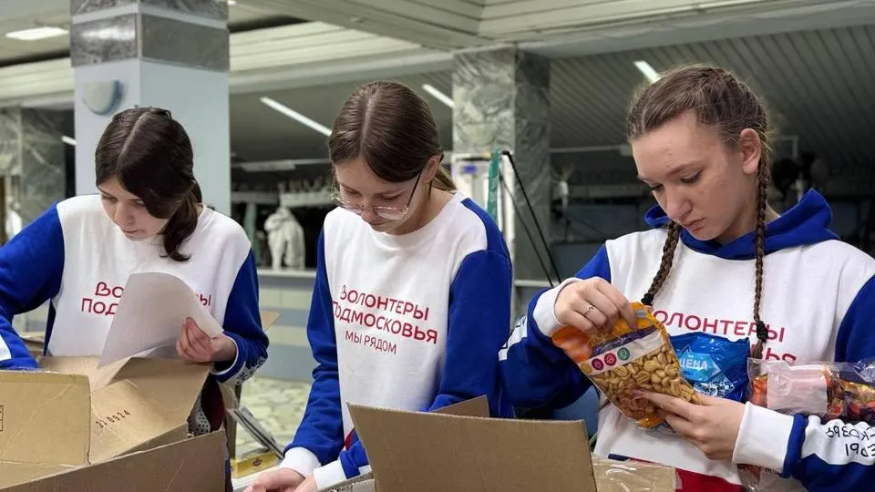 Фото: МедиаБанк Подмосковья/Яна Шаливская