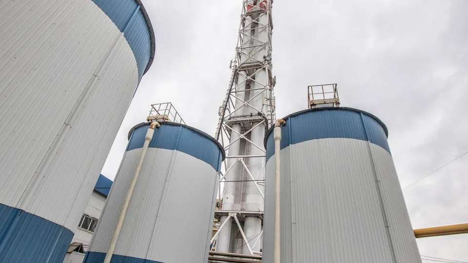 Фото: администрация г.о. Реутов