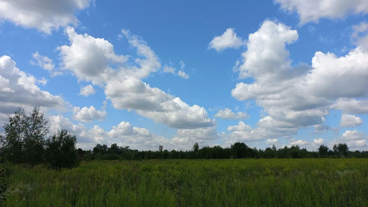 Фото: Олег Книжник