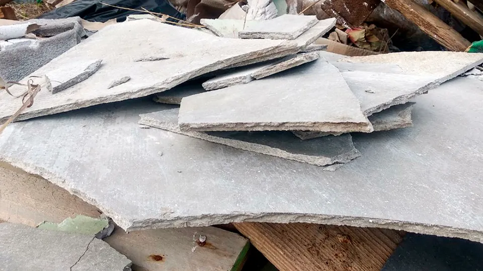 Фото: МедиаБанк Подмосковья/Евгений Рой