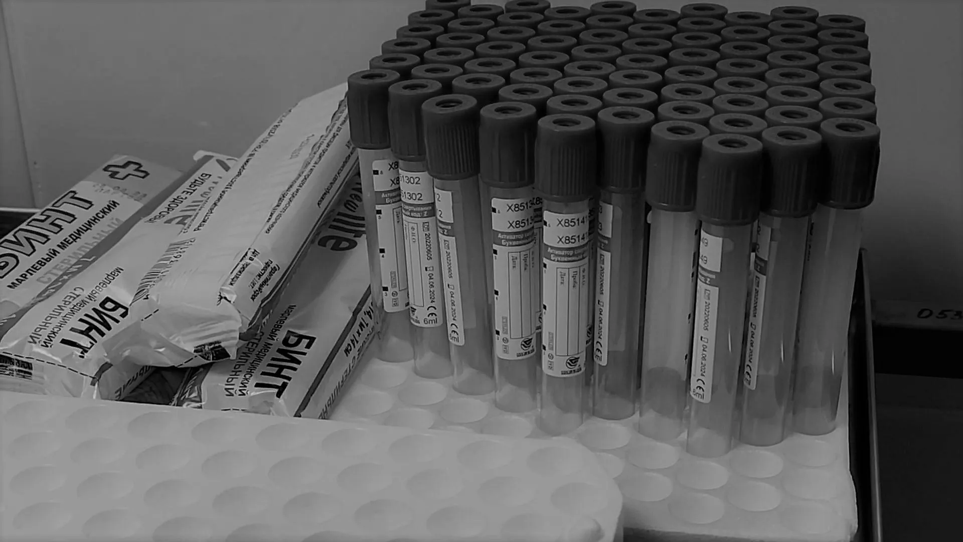 Источник фото: Роман Савельев