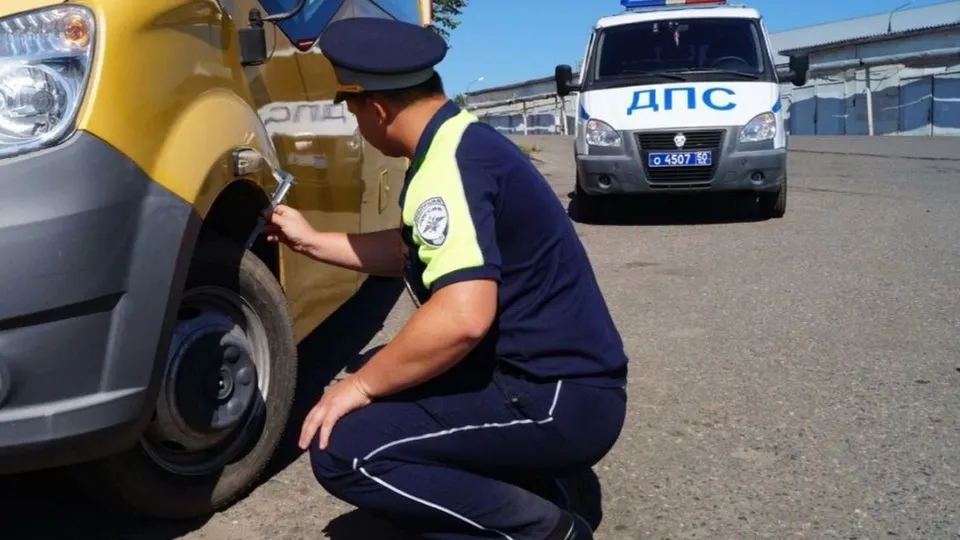 Фото: Госавтоинспекция по Московской области