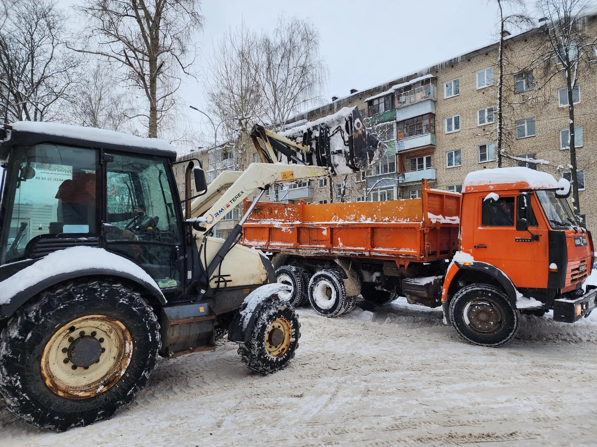Фото: Светлана Борщева