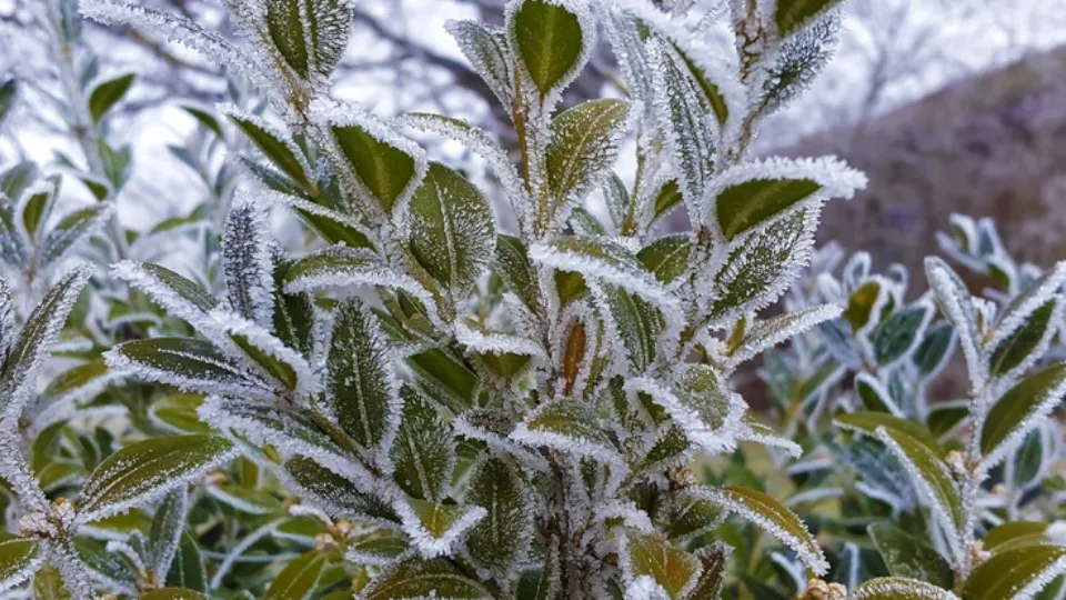 Фото: pxhere.com