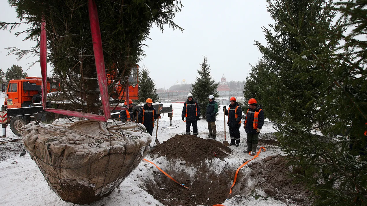 Фото: ТАСС/Станислав Красильников