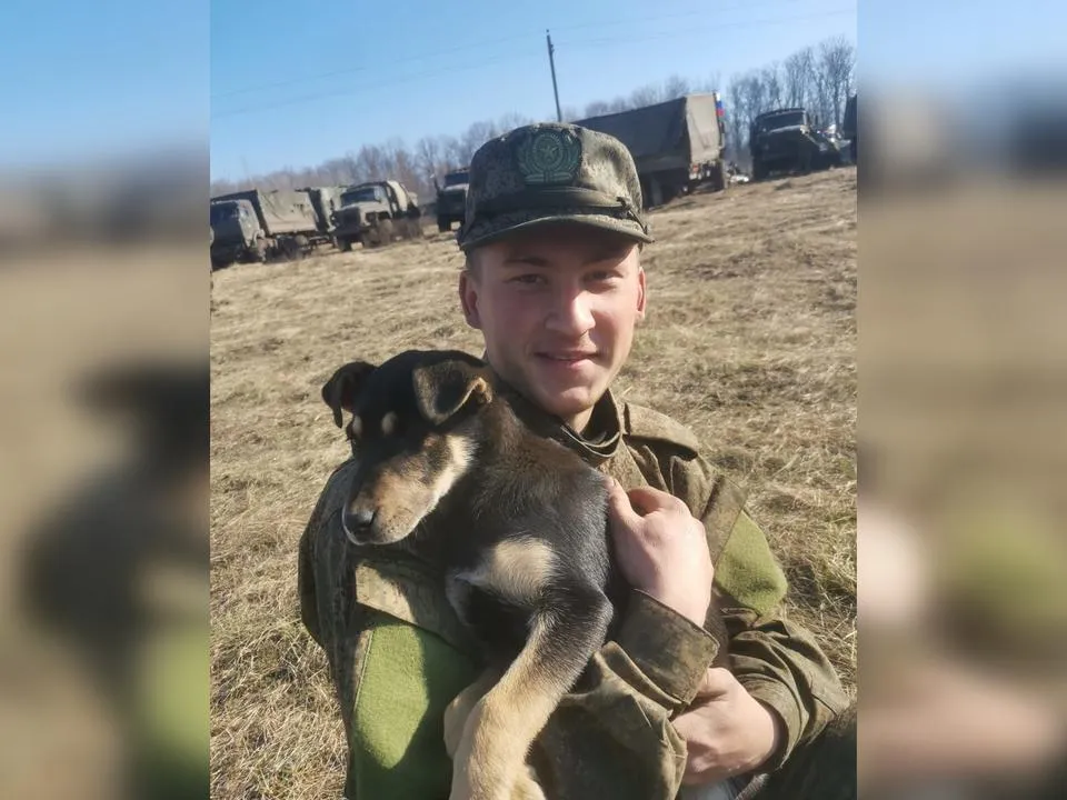 «Стая дворняг прибежала к мемориальной доске»: собаки почуяли гибель танкиста на передовой