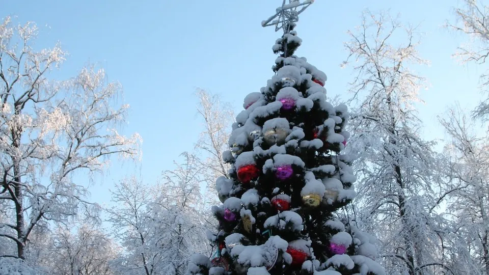 Фото: REGIONS/Наталья Дорофеева